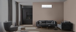 HAIER CORAL MAT 2